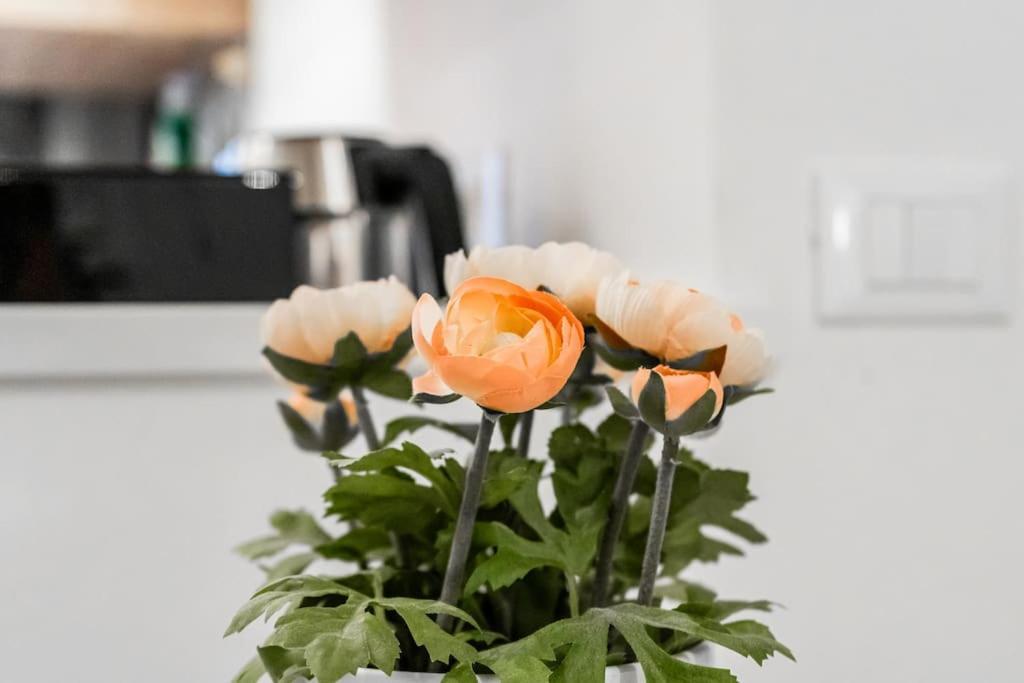 Suite32 Bergamo Ngoại thất bức ảnh